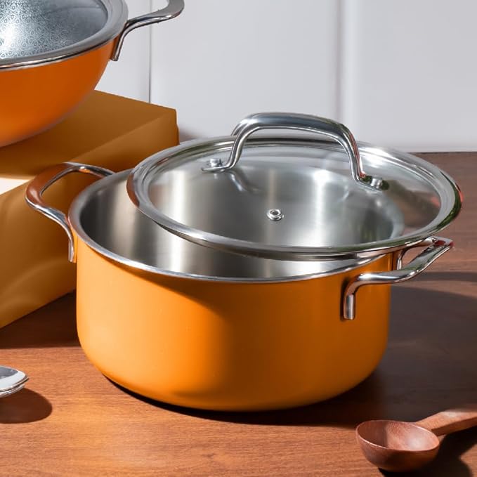 Stainless Steel Triply Pot With Glass Lid for Biryani, Pulao, Halwa, Curries, 20 cm, 3 L