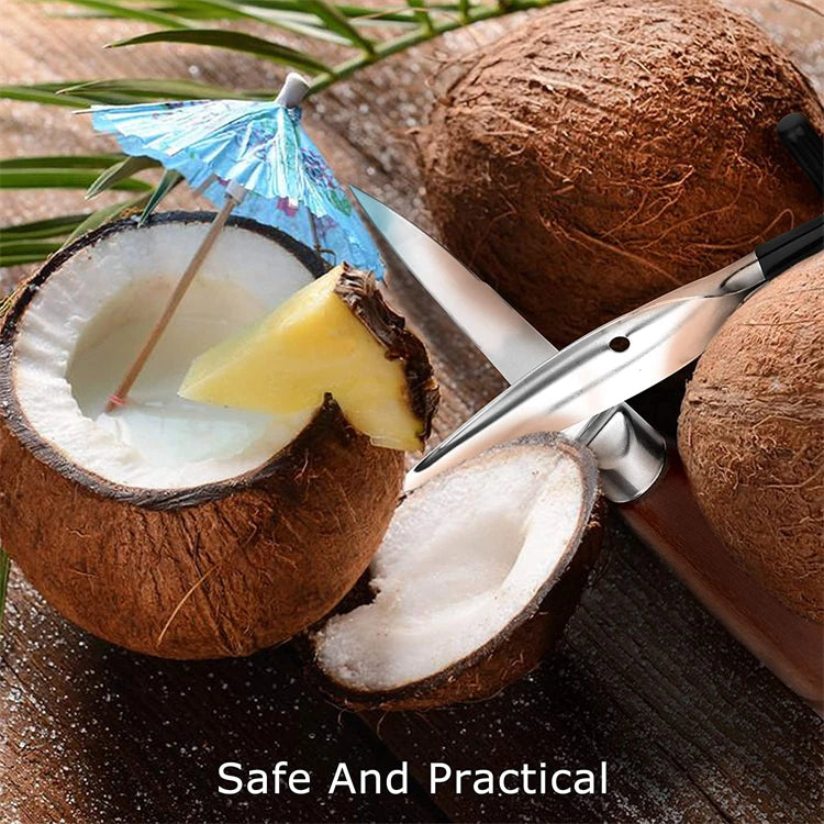 Stainless Steel Coconut Opener & Scraper – Coconut Punch Tool with Hammer – Perfect for Opening Fresh Young Coconuts
