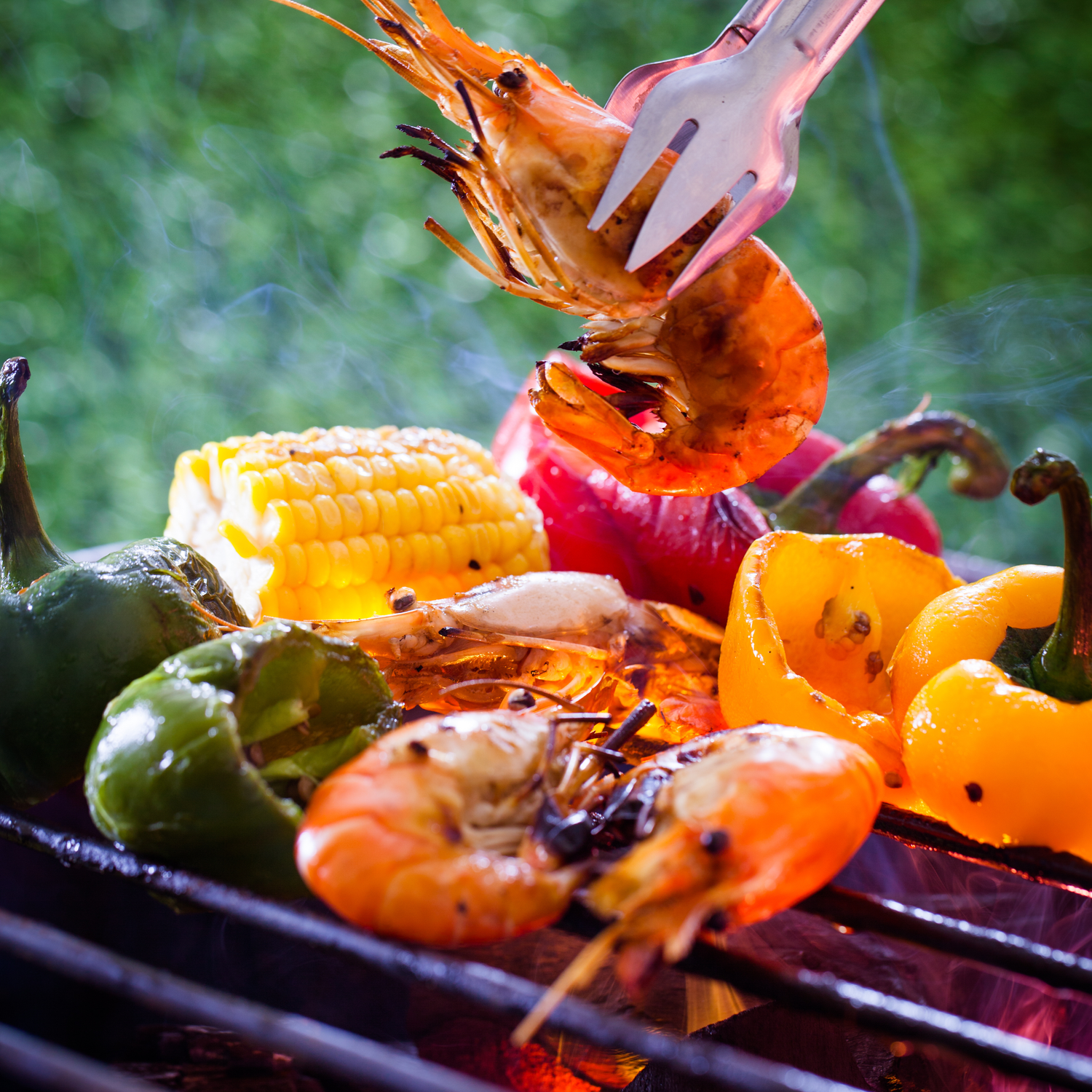 BBQ Grilling & Outdoor Cooking Essentials