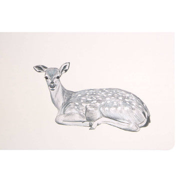 Set of 2 Fox and Deer Placemats and Coasters