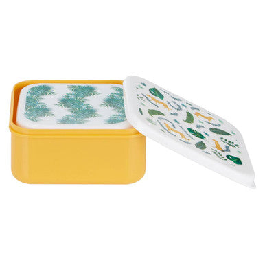 Set of 4 Palm Print Lunch Boxes