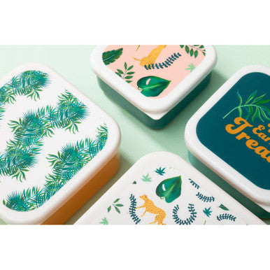 Set of 4 Palm Print Lunch Boxes