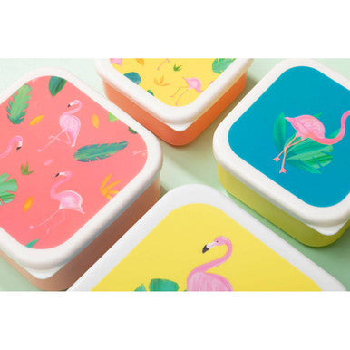 Set of 4 Flamingo Lunch Boxes