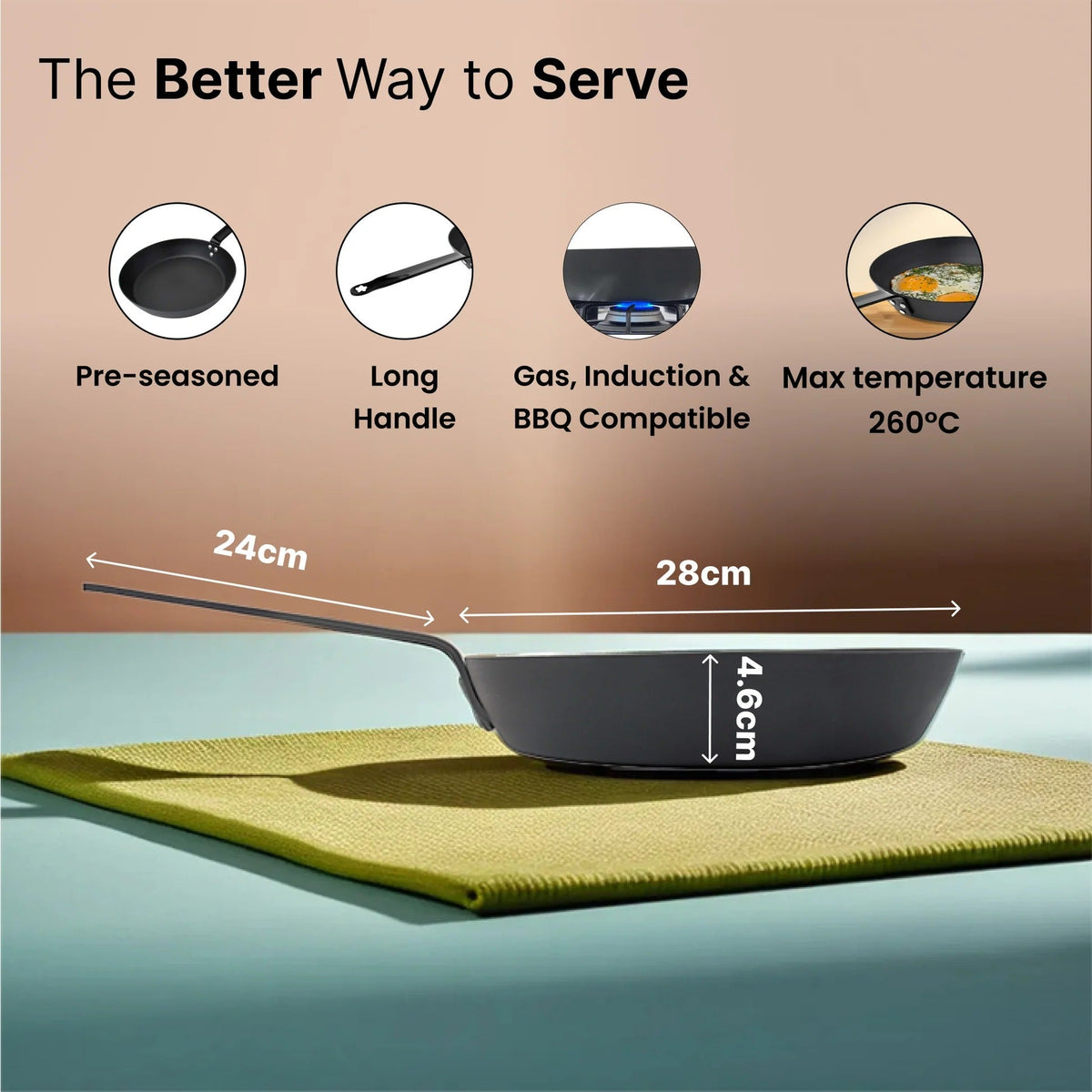 Carbon Steel Pan 28 cm Pre-Seasoned Non-Stick Gas Induction Omelette Fish Fry Black