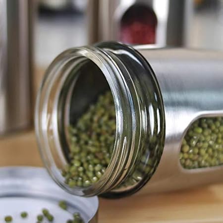 Kitchen Storage Jars Steel Body With See Through Window Jar, 300 ml, Pack of 6