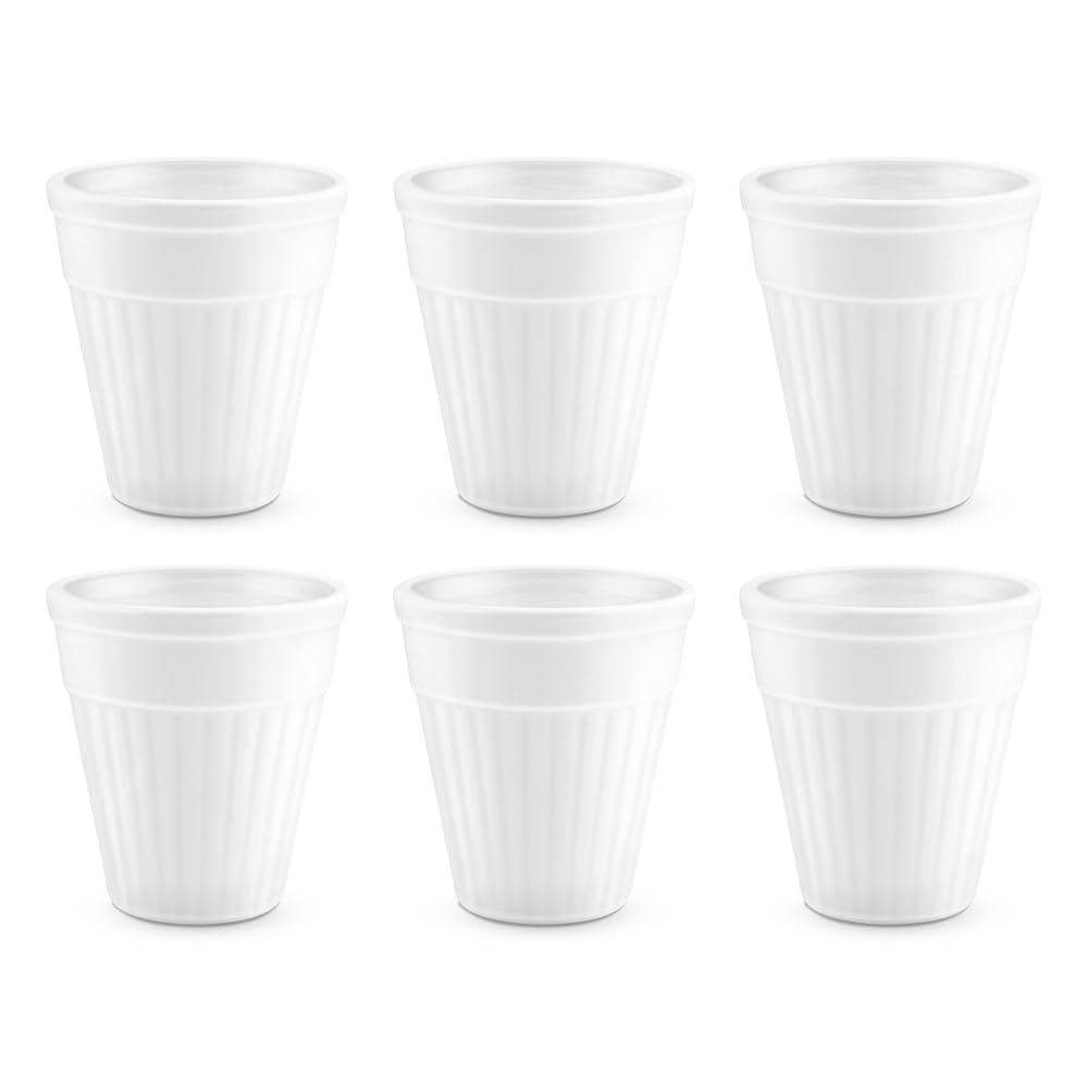 6 Pcs Tea/coffee Opalware Kulhad Set, 100 ml Each