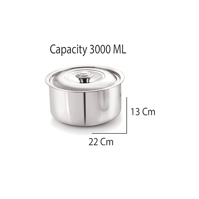 Stainless Steel Sizzling Hot Pot/Casserole
