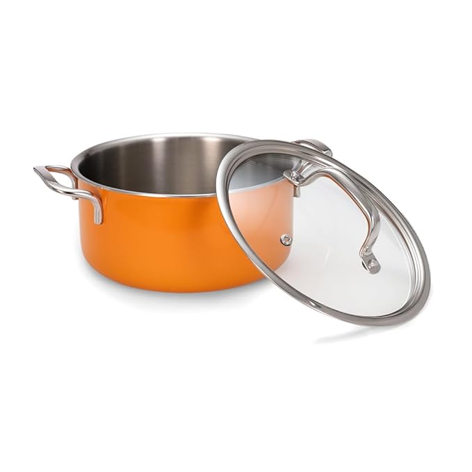 Stainless Steel Triply Pot With Glass Lid for Biryani, 18 cm, 2 L, Rivetless Handle