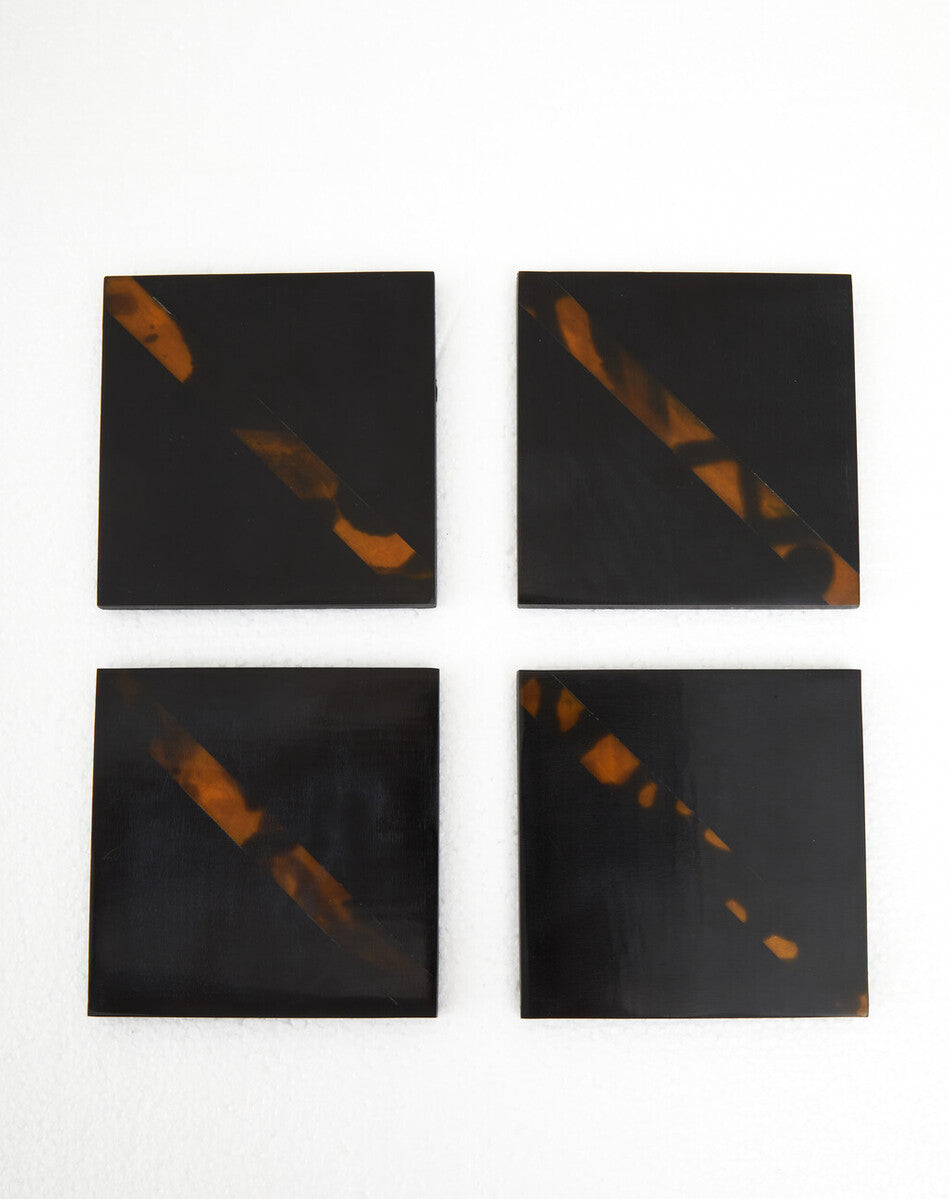 Set of 4 Tortoise Shell Coasters