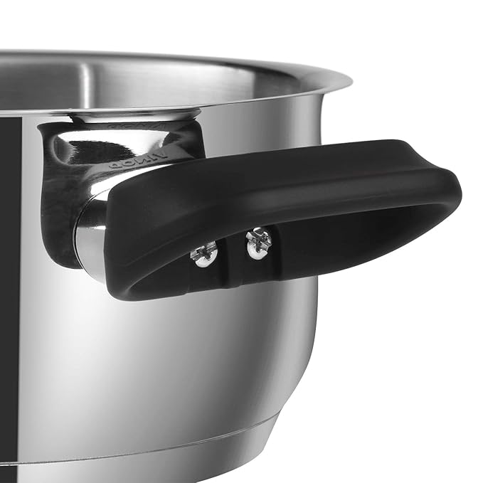 Stainless Steel Deluxe Saucepot With Glass Lid - 4 L, 22 cm, Biryani Pot, Riveted Sturdy Handles