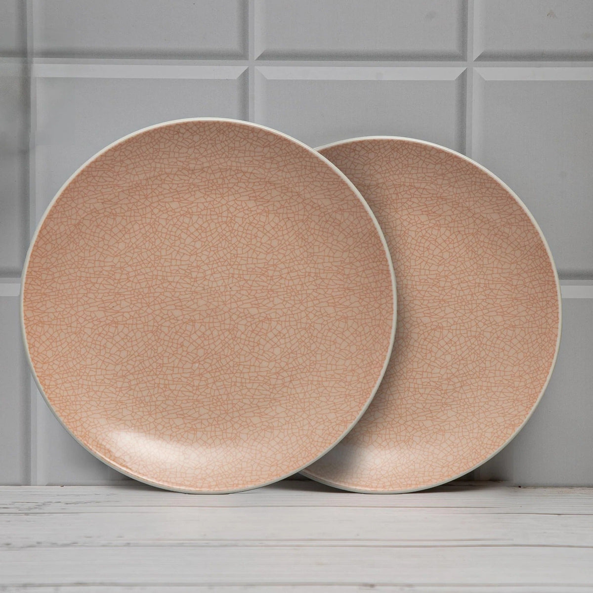 11 inch Pink Bella Stoneware Dinner Plates Set of 2 Microwave Dishwasher Safe