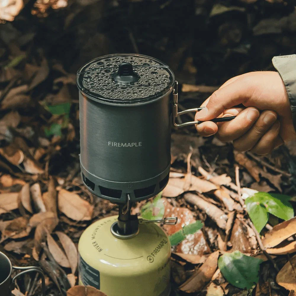 Cooking system with Stove with Hornet ii stove