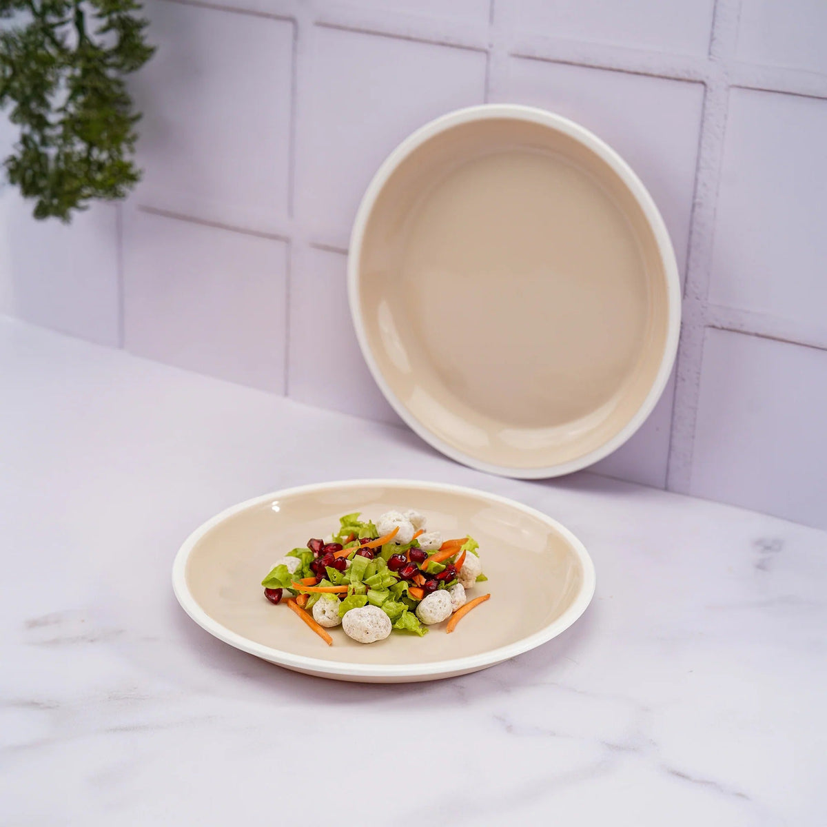 Round Plastic Full Plate Set of 6