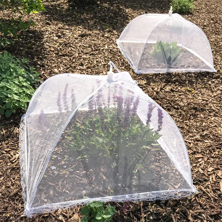Collapsible Mesh Food Cover Tent – Reusable Umbrella Food Net for Plates & Platters – Ideal for Picnics, Garden Parties & Outdoor Dining – Available in Small, Medium, Large & Extra Large