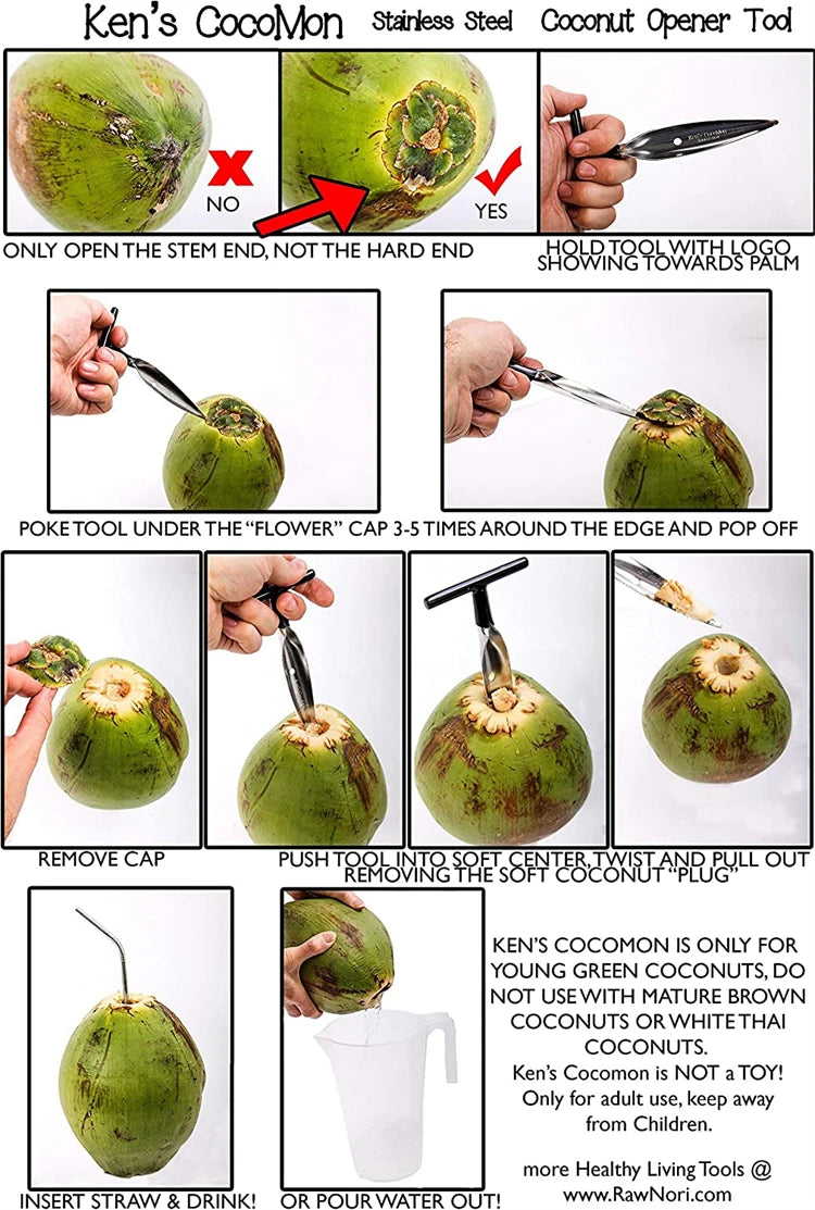 Stainless Steel Coconut Opener & Scraper – Coconut Punch Tool with Hammer – Perfect for Opening Fresh Young Coconuts