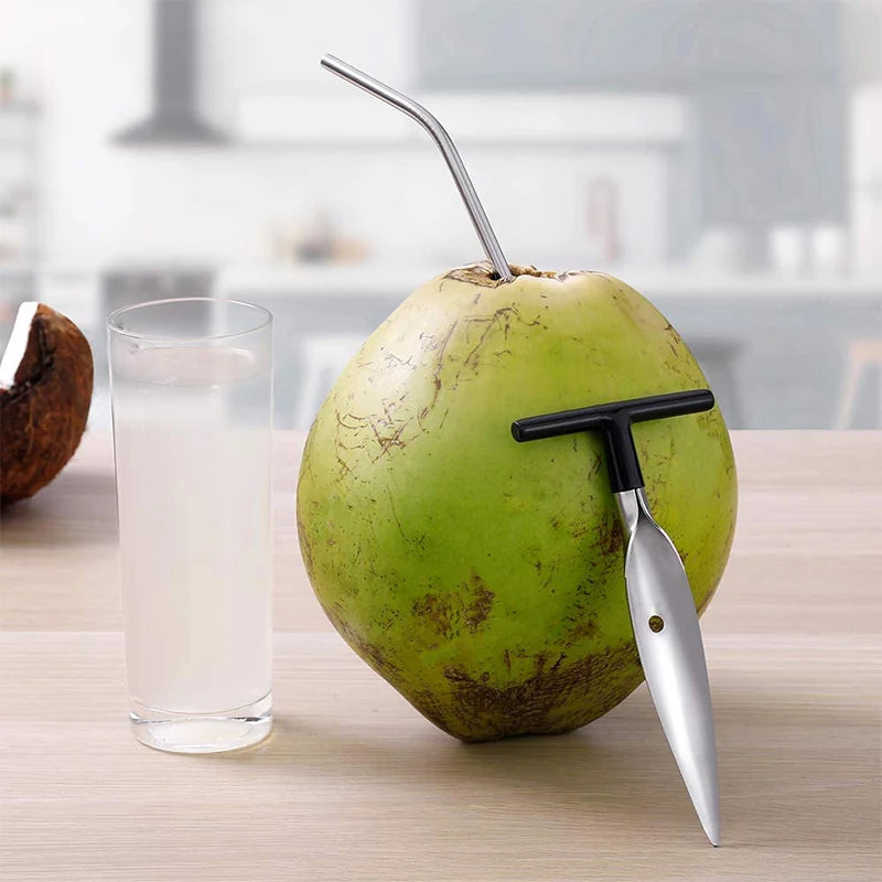 Stainless Steel Coconut Opener & Scraper – Coconut Punch Tool with Hammer – Perfect for Opening Fresh Young Coconuts