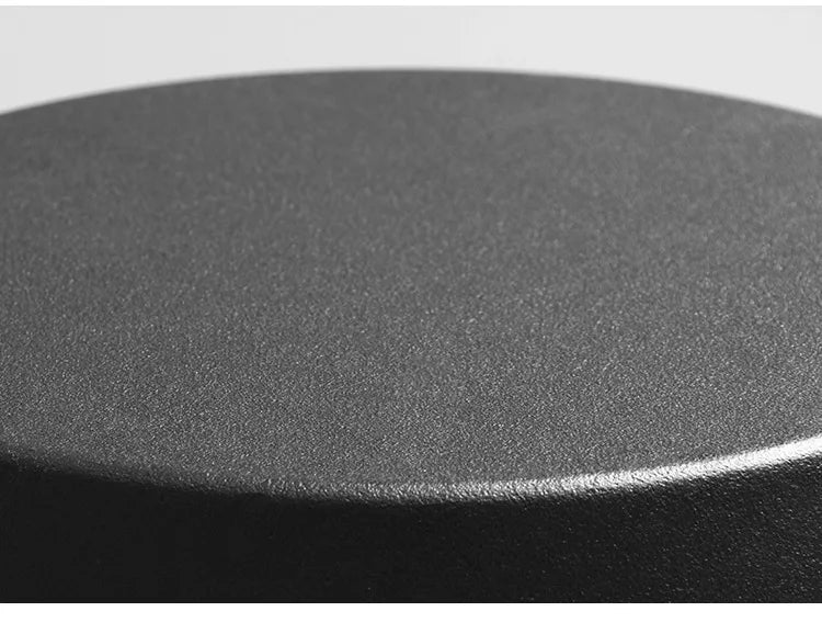 pre-seasoned cast iron skillet pan
