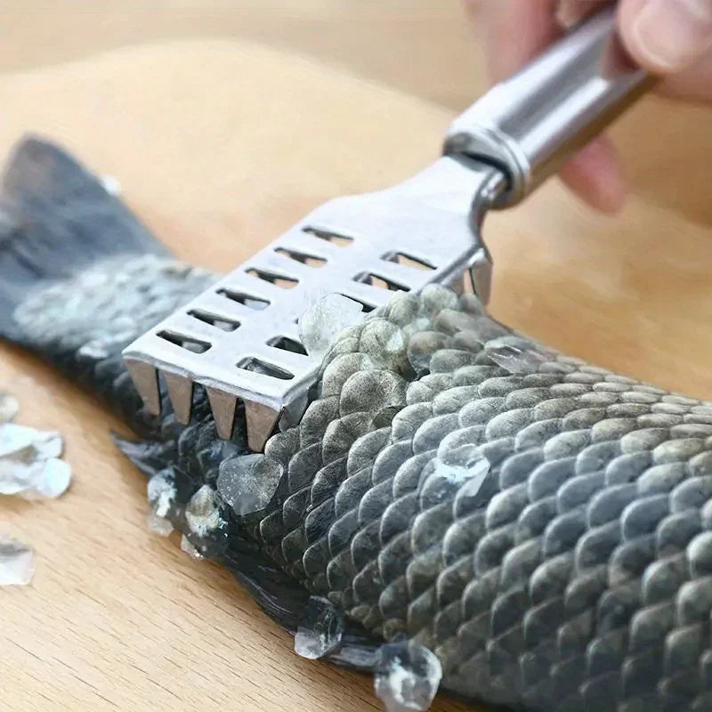 Stainless Steel Fish Scaler – Heavy Duty Sawtooth Fish Scale Remover – Great for Cleaning & Preparing Fresh Fish