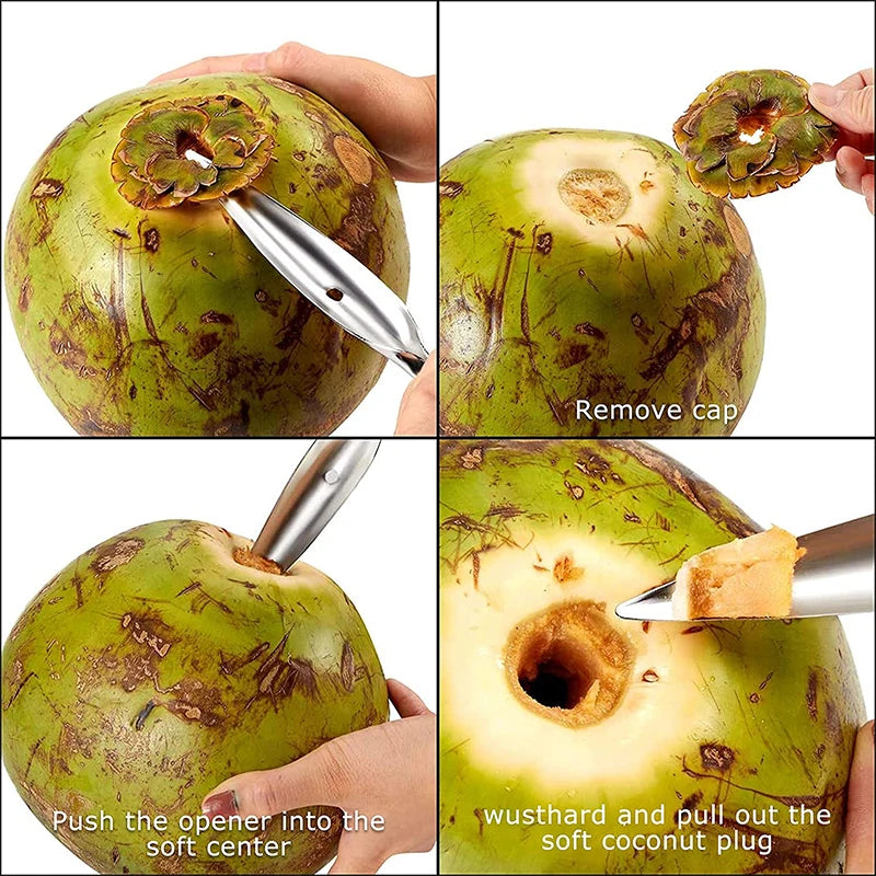 Stainless Steel Coconut Opener & Scraper – Coconut Punch Tool with Hammer – Perfect for Opening Fresh Young Coconuts