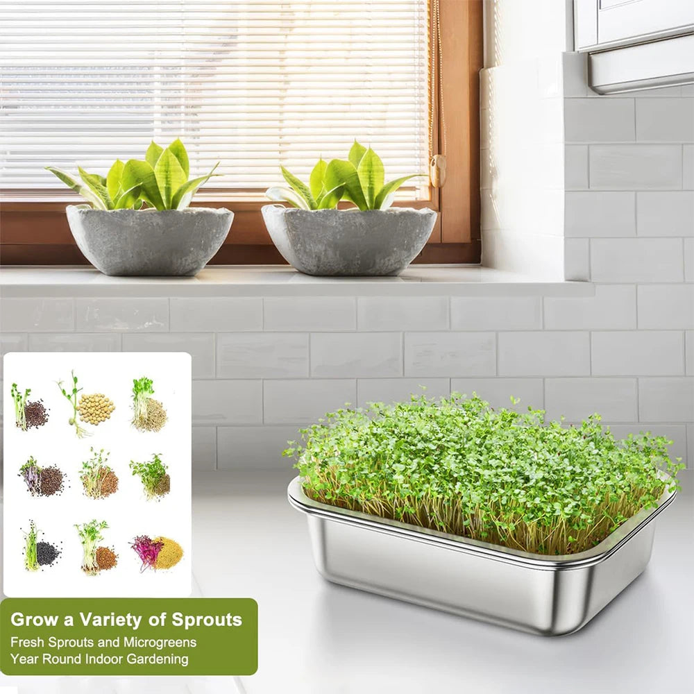 Stainless Steel Sprouting Tray Kit – Soil-Free Seed Germination Tray – Perfect for Growing Microgreens, Wheatgrass & Bean Sprouts