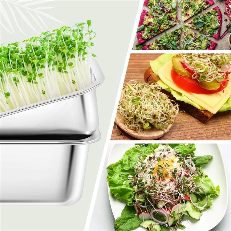 Stainless Steel Sprouting Tray Kit – Soil-Free Seed Germination Tray – Perfect for Growing Microgreens, Wheatgrass & Bean Sprouts