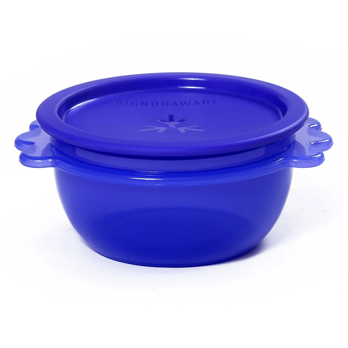 Bowl Small Plastic Container 500 ml