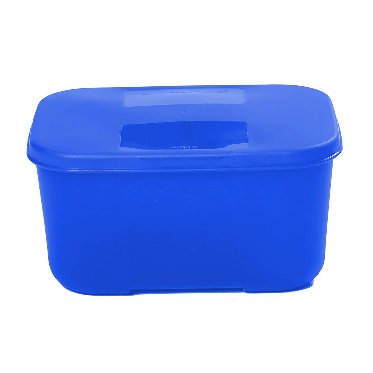 Big Plastic Container 700 ml BPA Free Microsafe Blue
