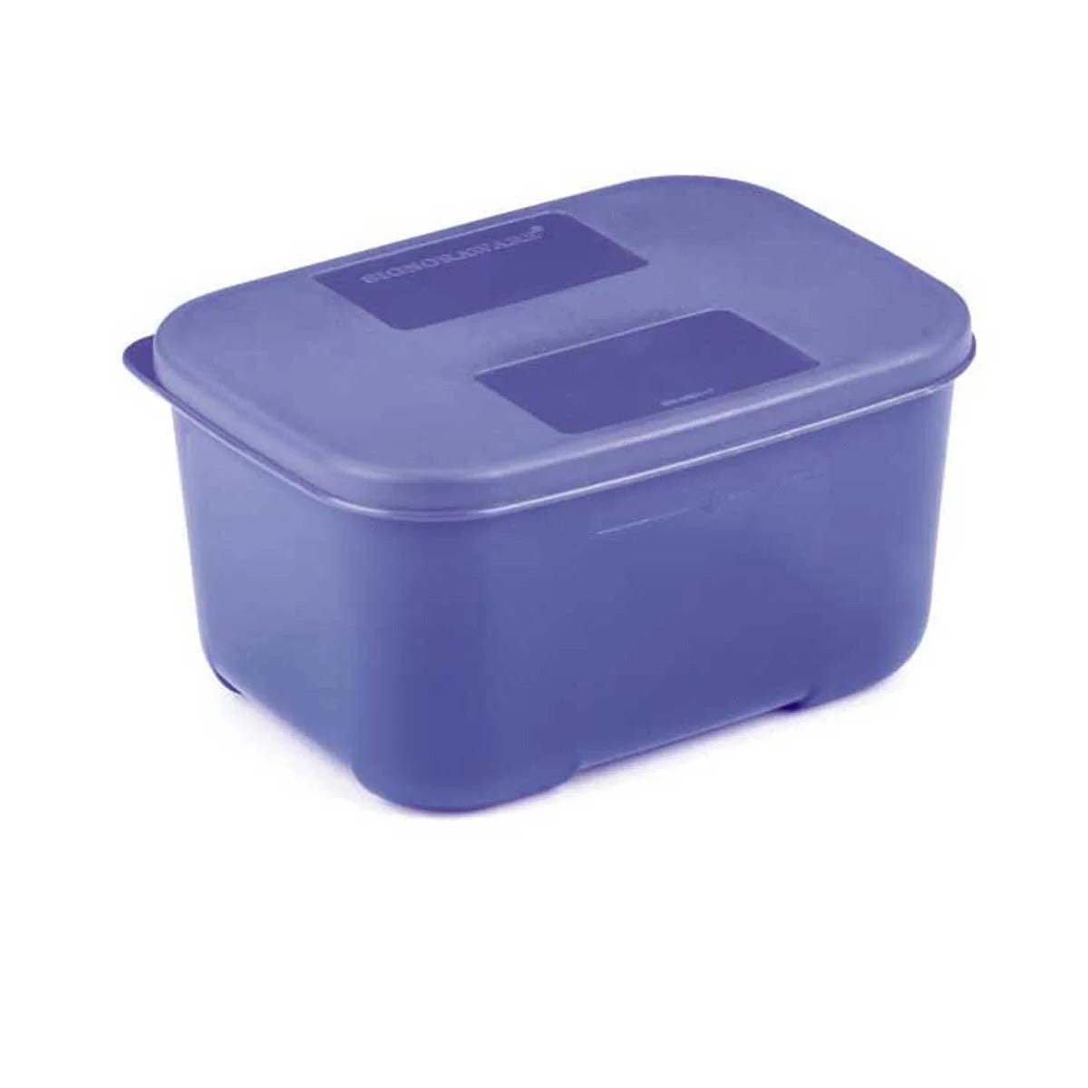 Big Plastic Container 700 ml BPA Free Microsafe Violet