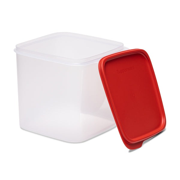 3 (3.9L) 1 Piece Large Airtight Container