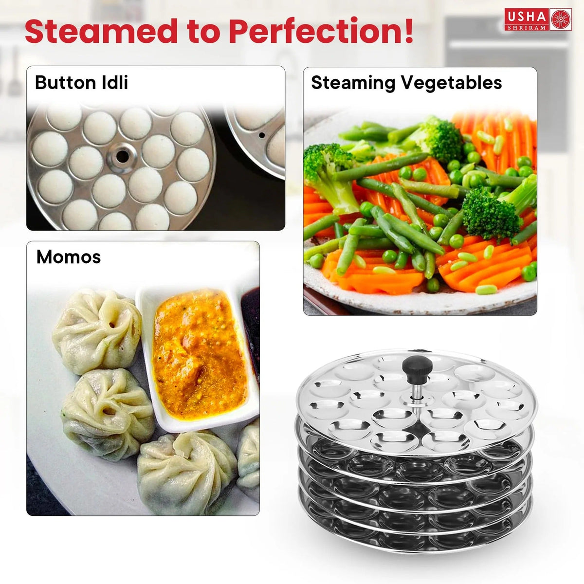 Stainless Steel Idli Maker 5 Round Plates Removable Bakelite Handle